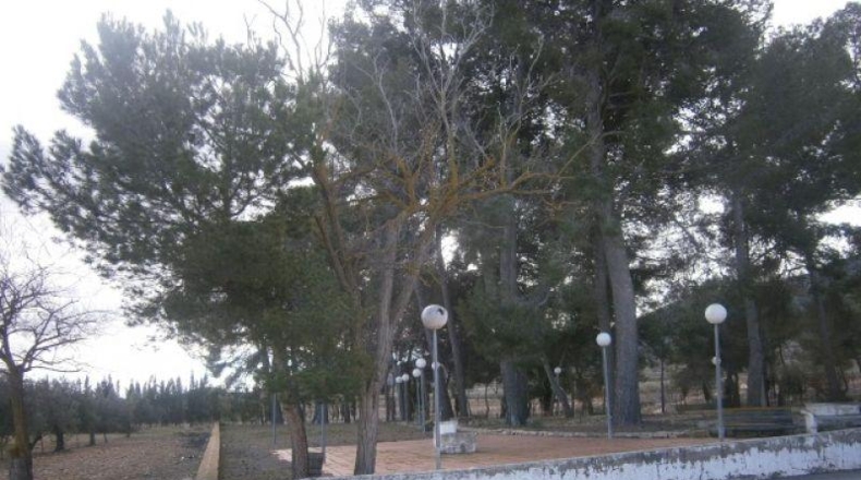 Alicante - Monóvar - 72275m2
