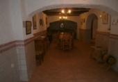 Chalet independiente con terreno en venta en la España, Monóvar, ref: TR146037 foto