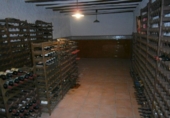 Chalet independiente con terreno en venta en la España, Monóvar, ref: TR146037 foto