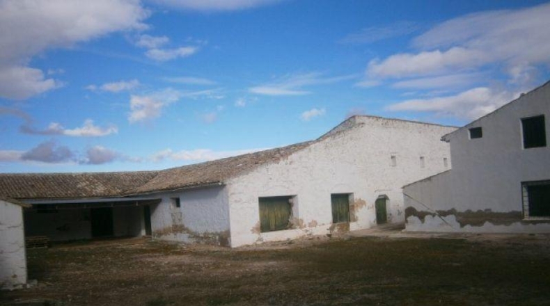 Alicante - Monóvar - 72275m2