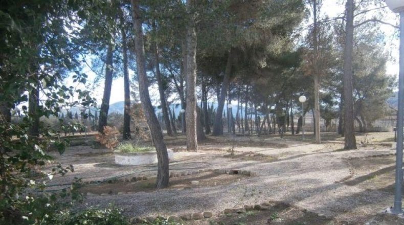 Alicante - Monóvar - 72275m2