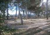 Chalet independiente con terreno en venta en la España, Monóvar, ref: TR146037 foto