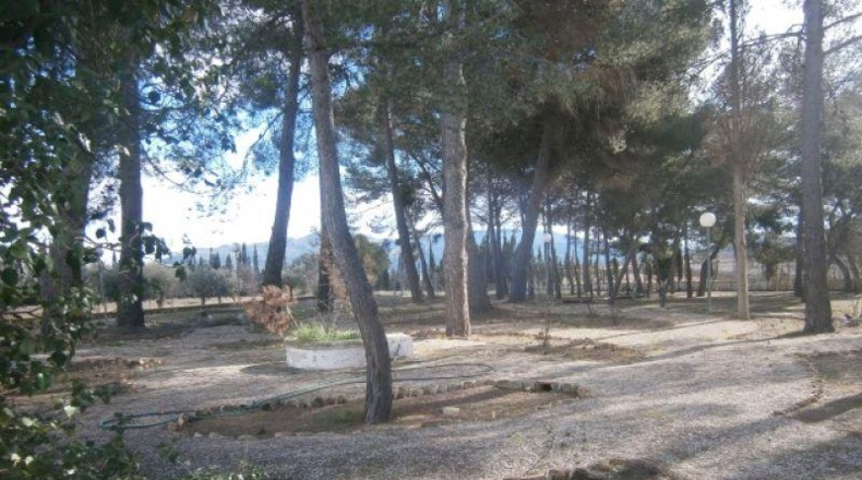 Alicante - Monóvar - 72275m2