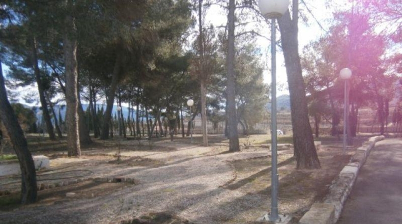 Alicante - Monóvar - 72275m2