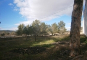 Chalet independiente con terreno en venta en la España, Monóvar, ref: TR146037 foto