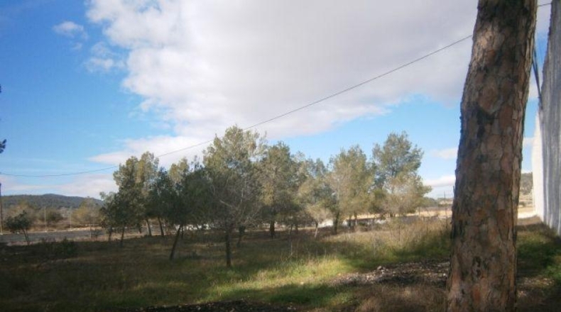Alicante - Monóvar - 72275m2