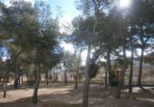 Chalet independiente con terreno en venta en la España, Monóvar, ref: TR146037 foto