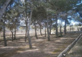 Chalet independiente con terreno en venta en la España, Monóvar, ref: TR146037 foto