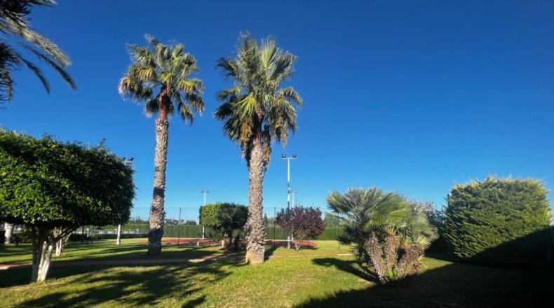 Alicante - Elx - 12000m2