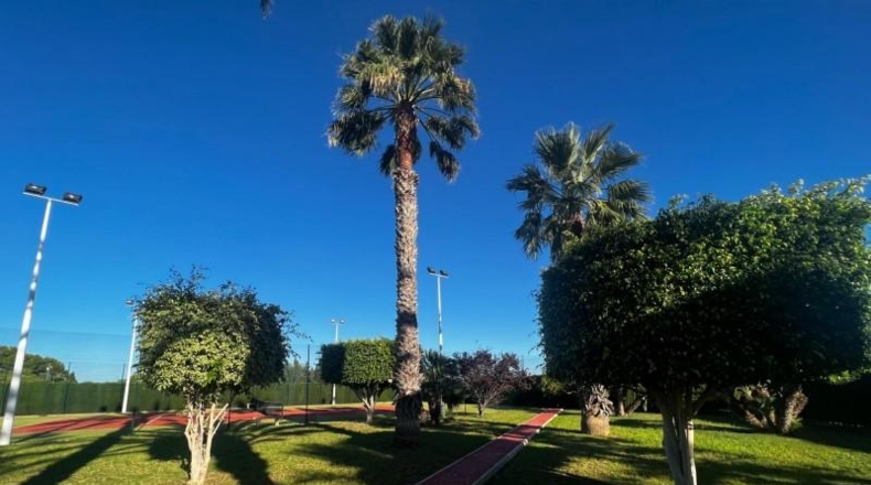 Alicante - Elx - 12000m2