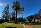 Xalet independent amb terreny en venda a la España, Elx, ref.: TR323968 foto