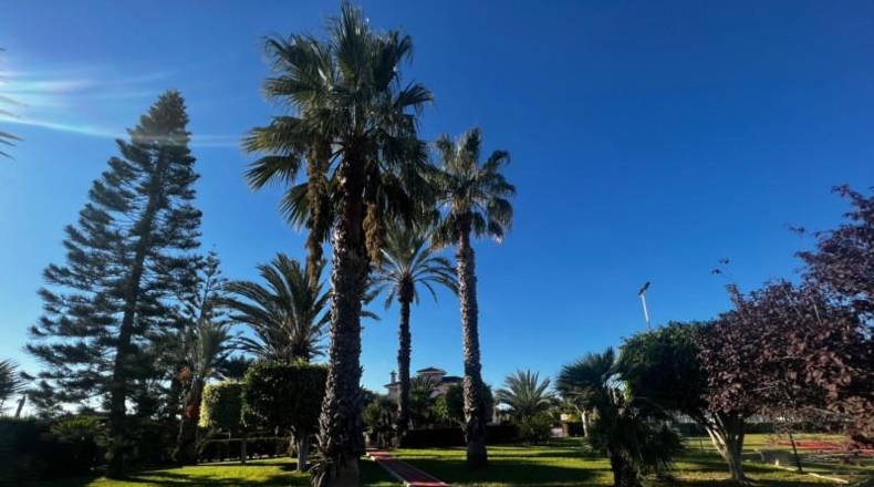 Alicante - Elx - 12000m2