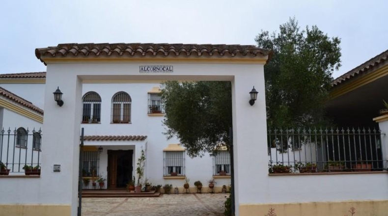 Cádiz - Arcos de la Frontera - 140000m2