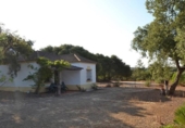 Xalet independent amb terreny en venda a la España, Arcos de la Frontera, ref.: TR148925 foto