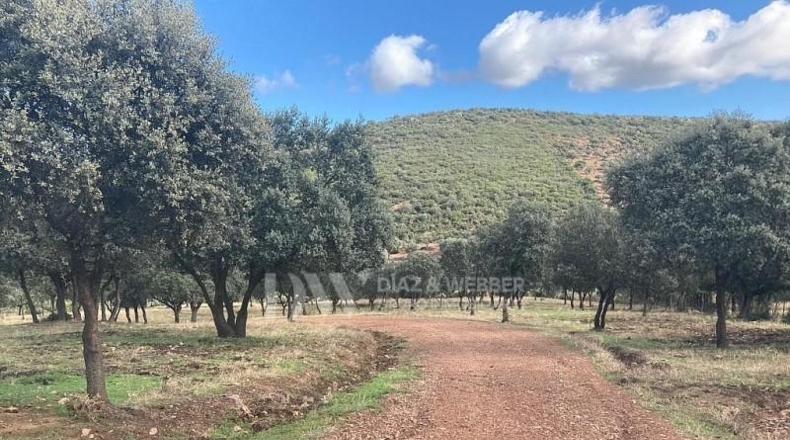 Ciudad Real - Puertollano - 700000m2