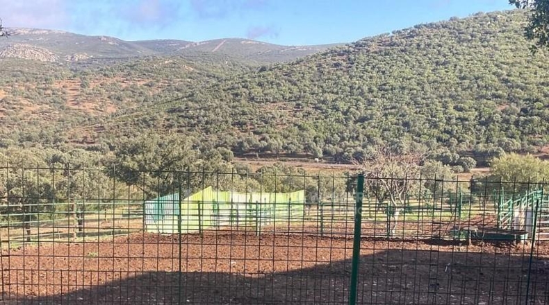 Ciudad Real - Puertollano - 700000m2