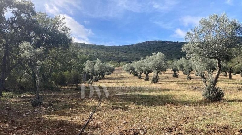 Ciudad Real - Puertollano - 700000m2