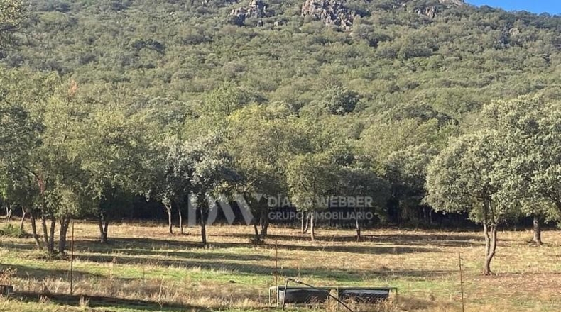 Ciudad Real - Puertollano - 700000m2
