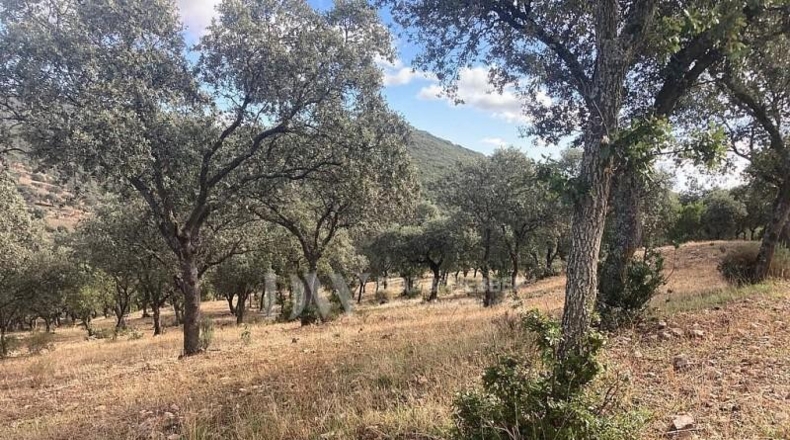 Ciudad Real - Puertollano - 700000m2