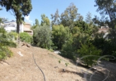 Xalet independent amb terreny en venda a la España, Vélez-Málaga, ref.: TR133248 foto
