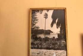 Foto 6