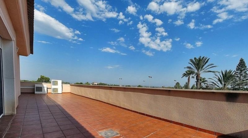 Alicante - Elche - 12000m2