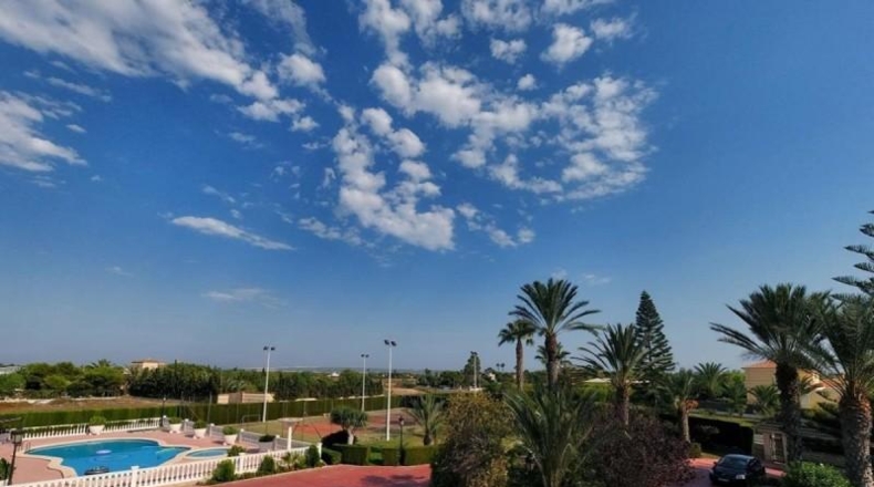 Alicante - Elche - 12000m2