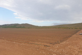Montealegre del Castillo 450000&nbsp;м²