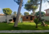 Xalet independent amb terreny en venda a la España, Oriola, ref.: TR334054 foto