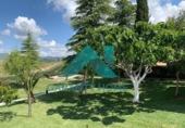 Загородный дом с участком на продажу в городе Almoharín Фото