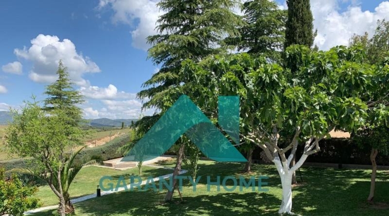 Cáceres - Almoharín - 53200m2