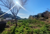 Chalet independiente con terreno en venta en la España, Tossa de Mar, ref: TR193266 foto