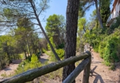 Finca rústica en venta en la España, Canaletes, ref: TR353605 foto