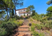 Finca rústica en venta en la España, Canaletes, ref: TR353605 foto
