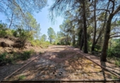 Finca rústica en venta en la España, Canaletes, ref: TR353605 foto