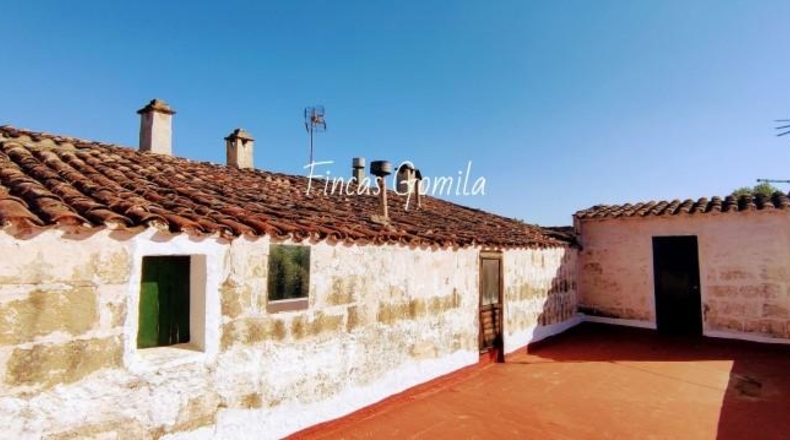 Islas Baleares - Alaior - 221000m2