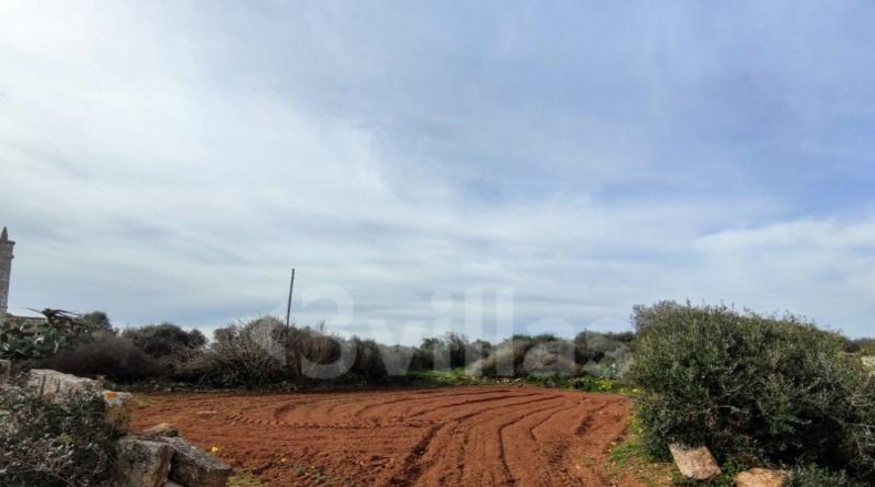 Balearic Islands - Ciudadela - 107000m2