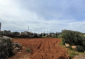 Casa de camp amb terreny en venda a la España, Ciutadella de Menorca, ref.: TR288803 foto