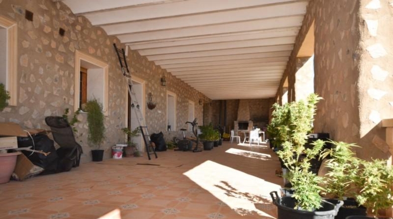 Alicante - Almoradí - 15000m2