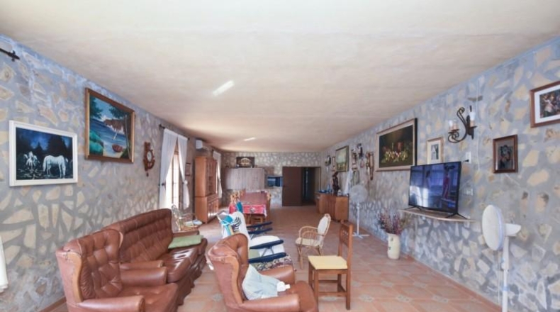 Alicante - Almoradí - 15000m2