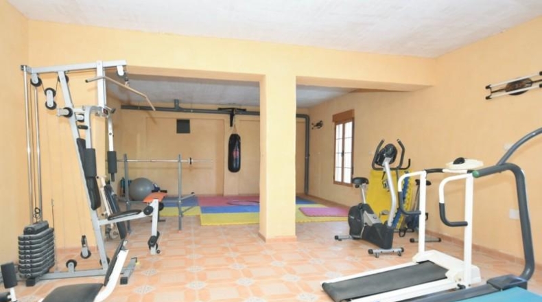 Alicante - Almoradí - 15000m2