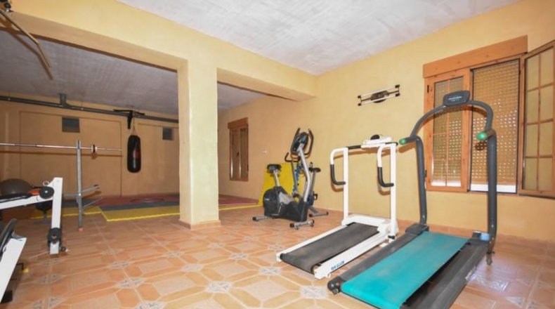 Alicante - Almoradí - 15000m2