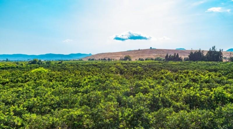 Islas Baleares - Palma - 70745m2