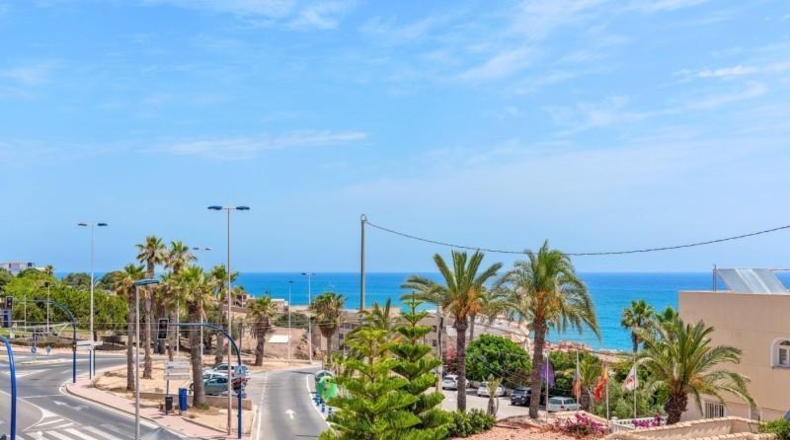 Alicante - Torrevieja - 290m2
