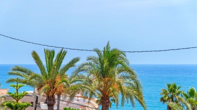 Alicante - Torrevieja - 290m2