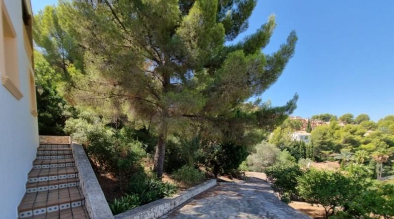 Alicante - Pedreguer - 3040m2
