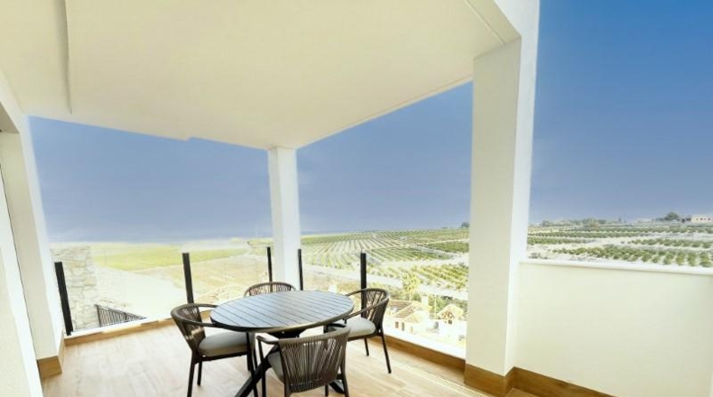 Alicante - Algorfa - 310m2