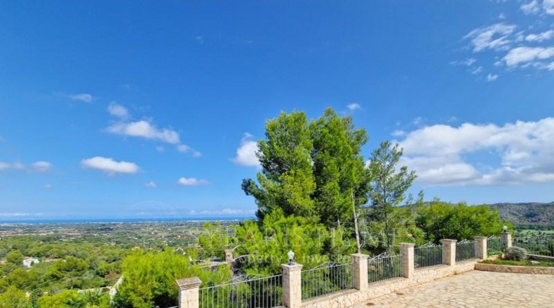 Alicante - Pedreguer - 3087m2