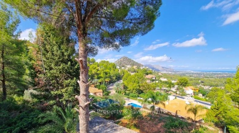 Alicante - Pedreguer - 3087m2
