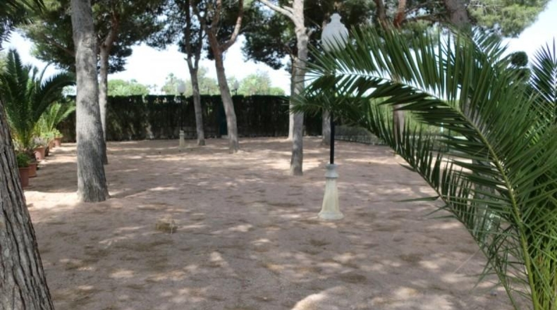 Alicante - Elche - 4330m2
